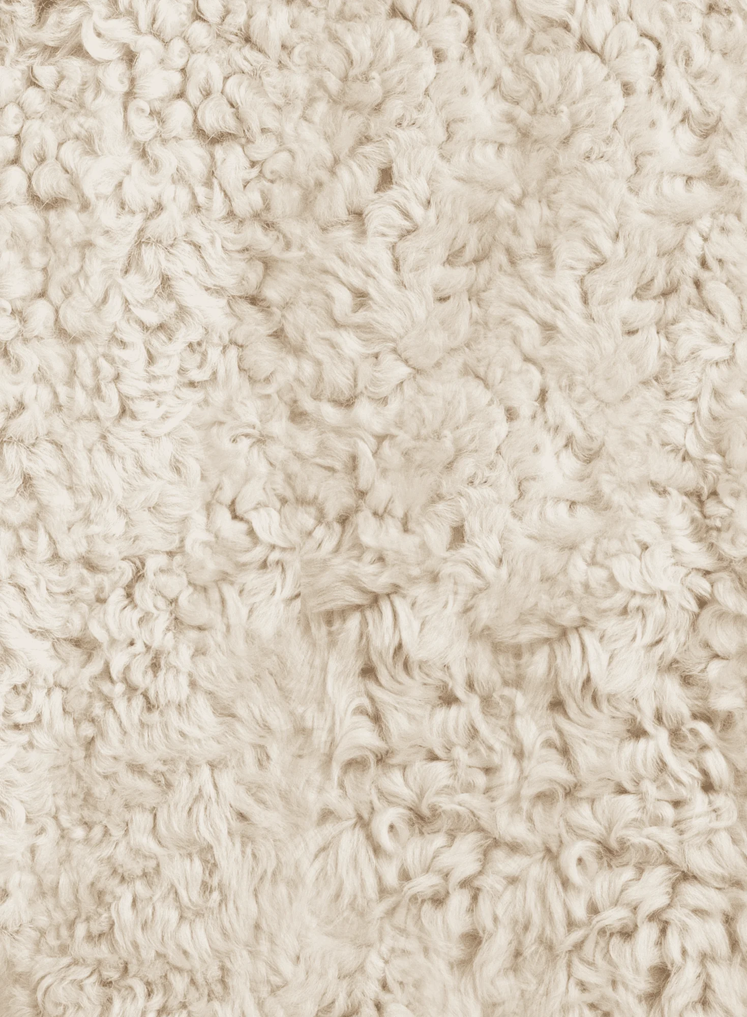 Shearling Chubby - Image 3